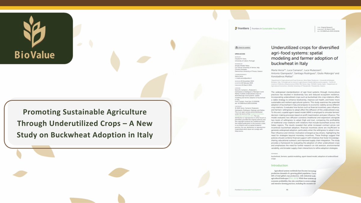 Can underutilized crops like buckwheat transform our food systems? Our newest study explores how economic incentives, peer influence, and farmer motivation impact buckwheat adoption in Italy. 🇮🇹
📷 Read more: biovalue-project.eu/promoting-sust…