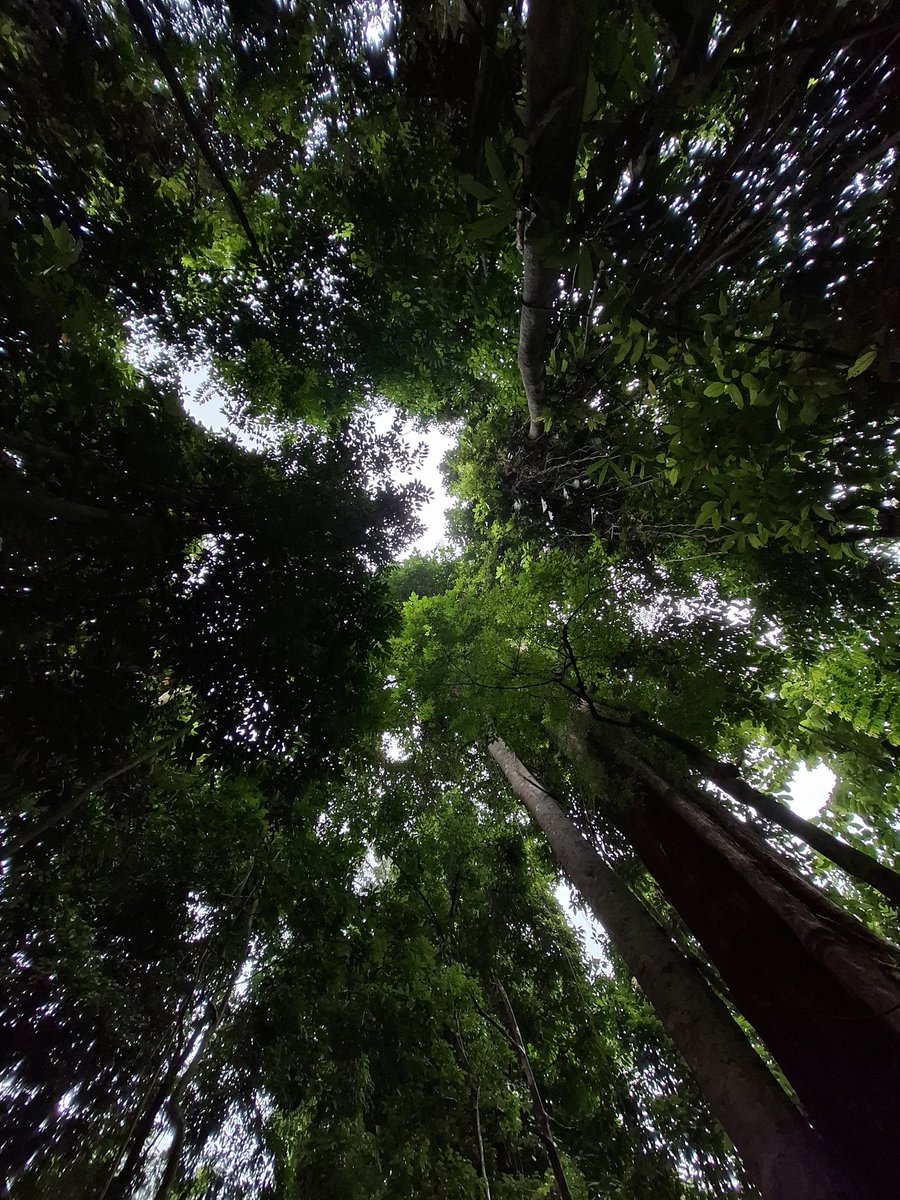 零度星 tweet media