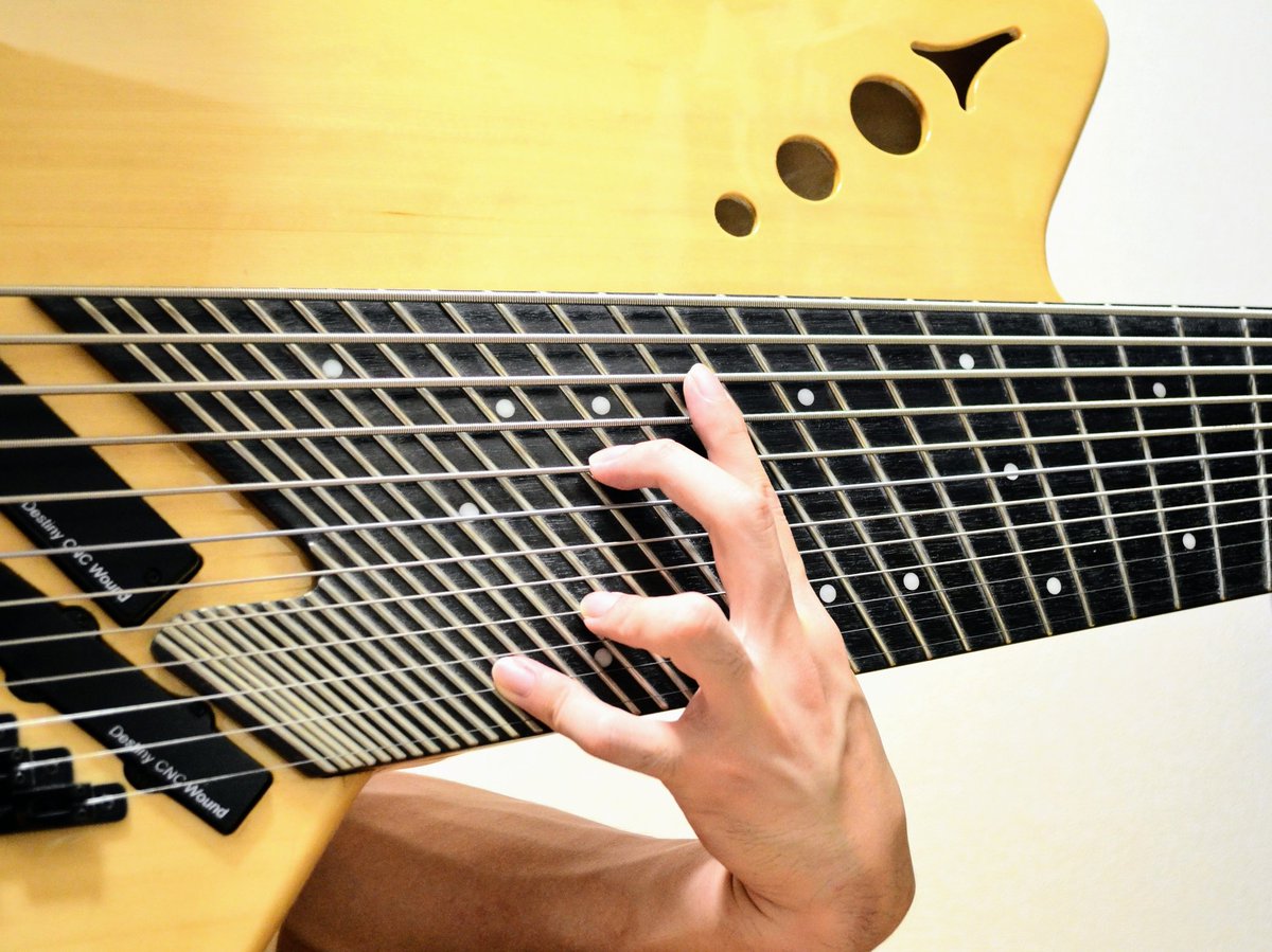 たまたま見てしまったので、一般多弦界隈に生息するエレキベースを紹介しましょう！