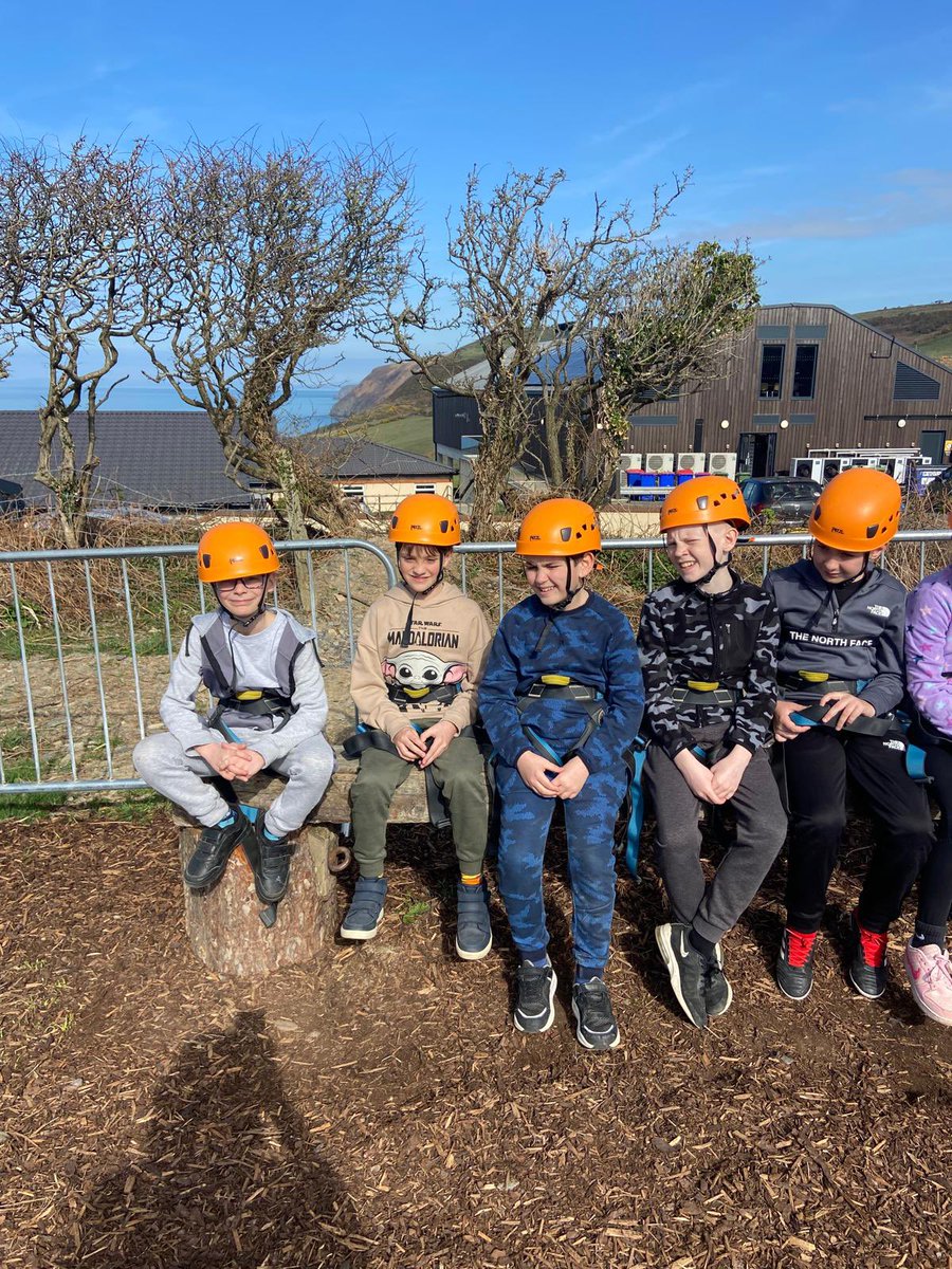 Ysgol y Cribarth D5 tweet media