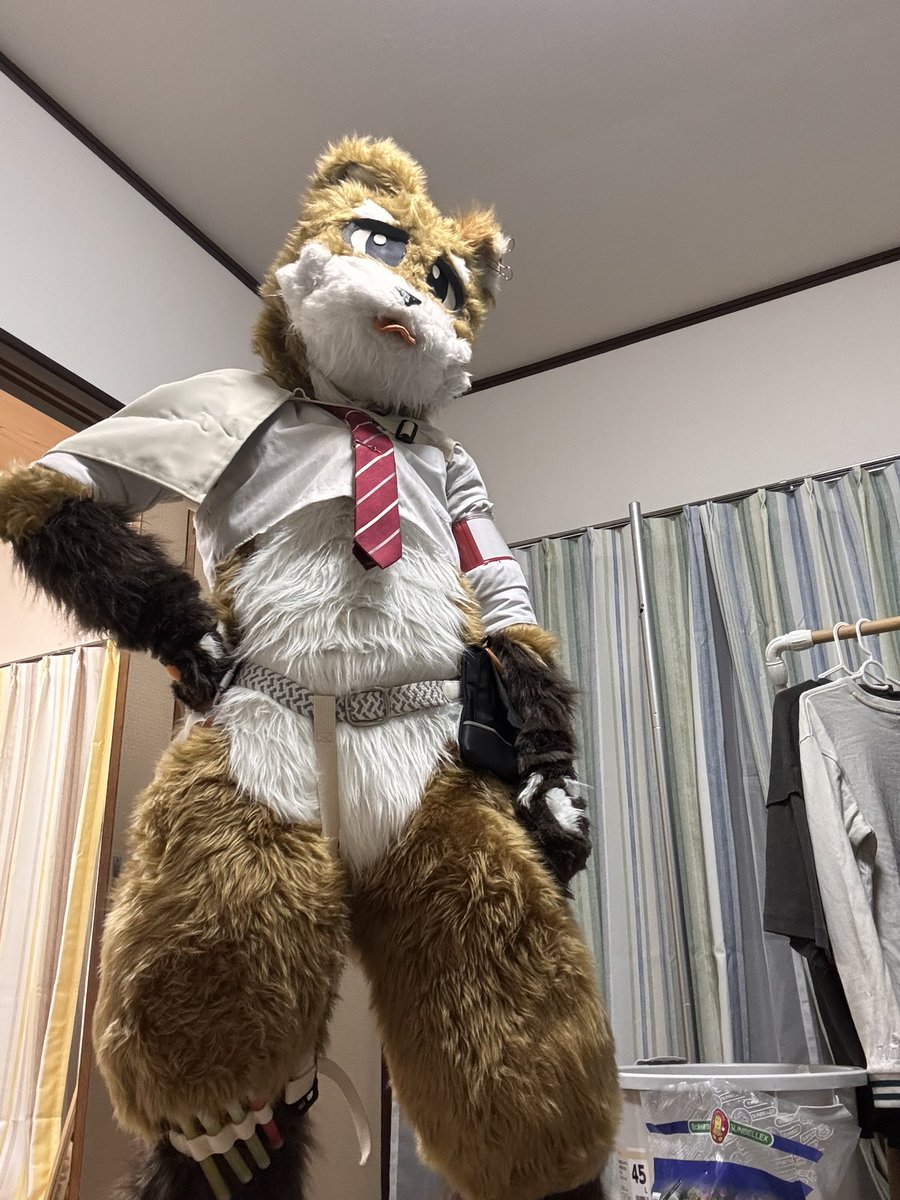 チャグ@メモル→関ケモ tweet media