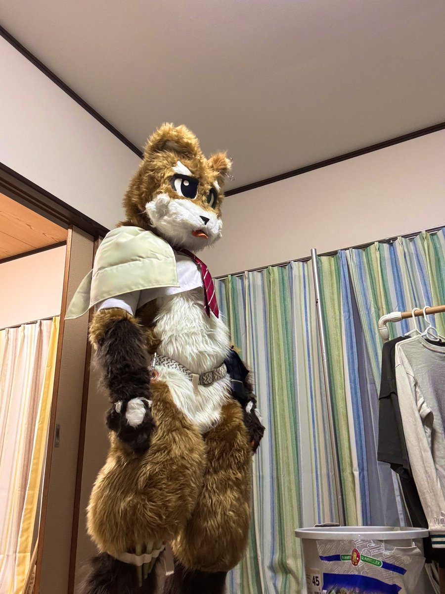 チャグ@メモル→関ケモ tweet media