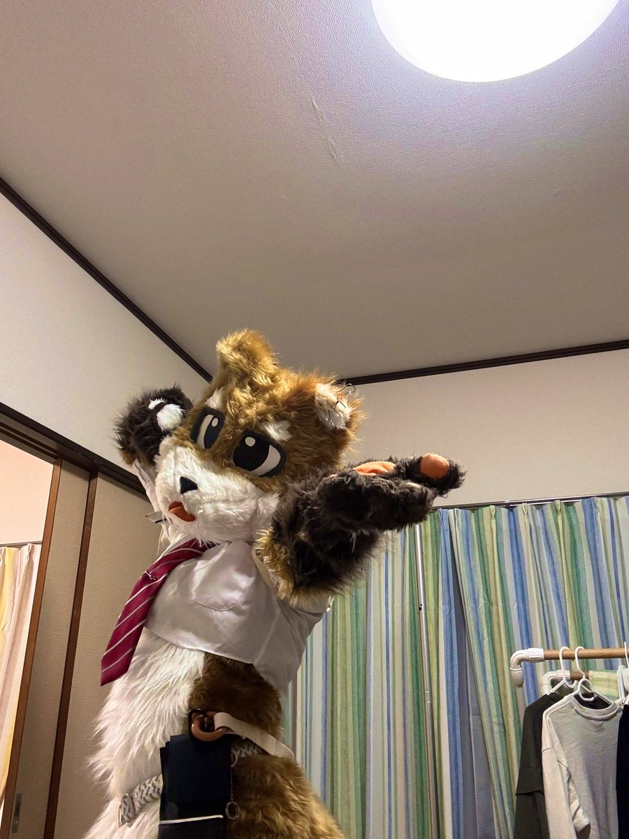 チャグ@メモル→関ケモ tweet media