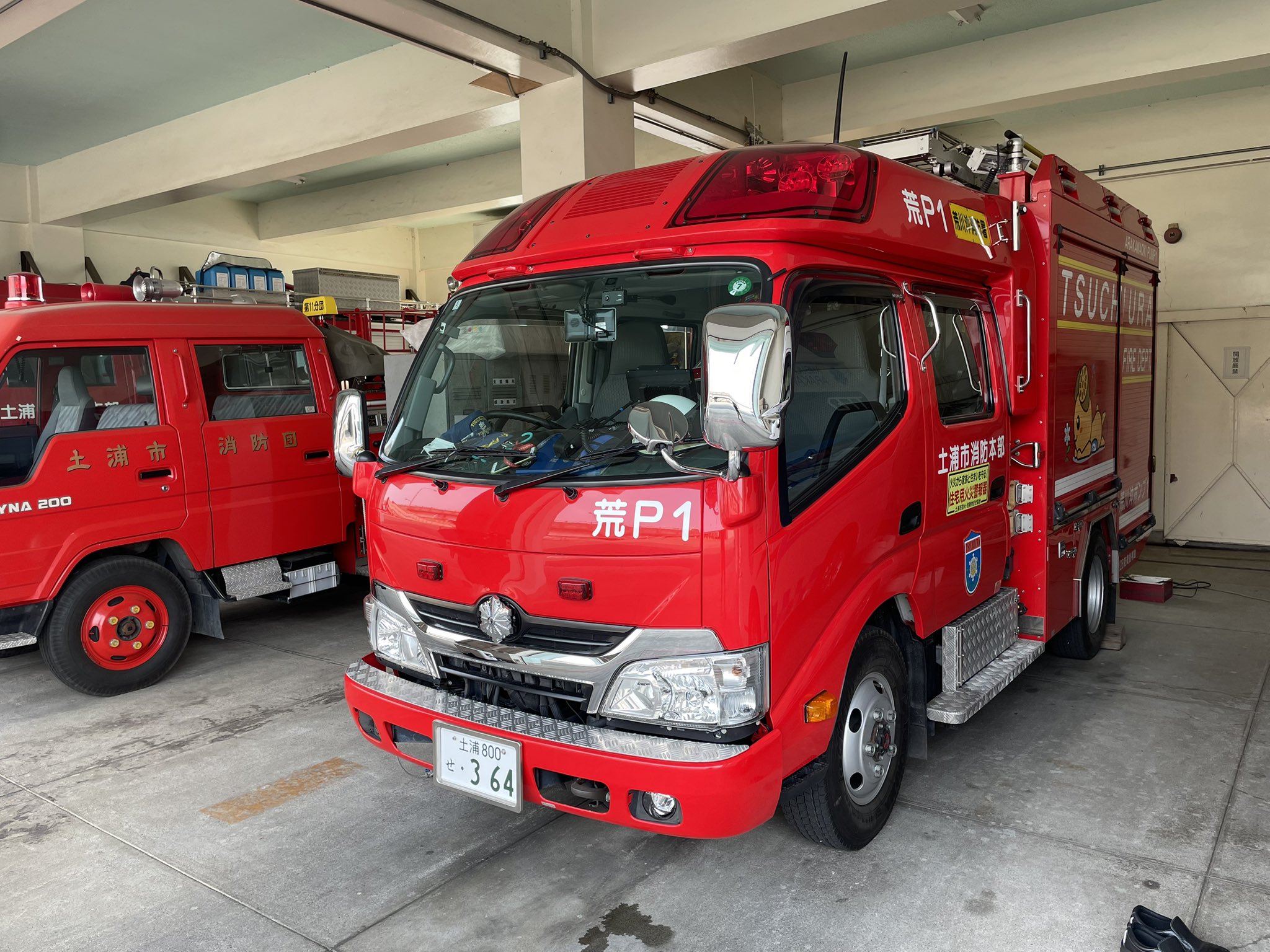 本鼈甲、中荒、仕上げ 本所 泥除け