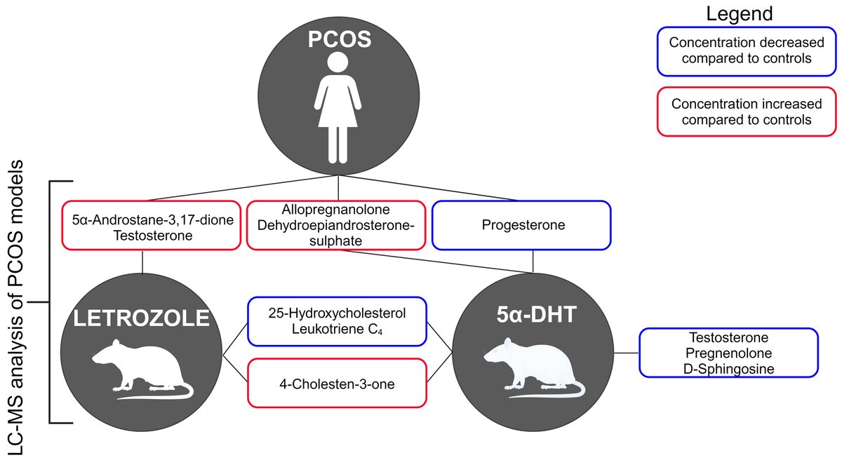 Altered #Hormone and Bioactive Lipid Plasma Profile in Rodent Models of Polycystic #Ovarian Syndrome Revealed by Targeted Mass Spectrometry
jem.elmerpub.com/jem/article/vi…