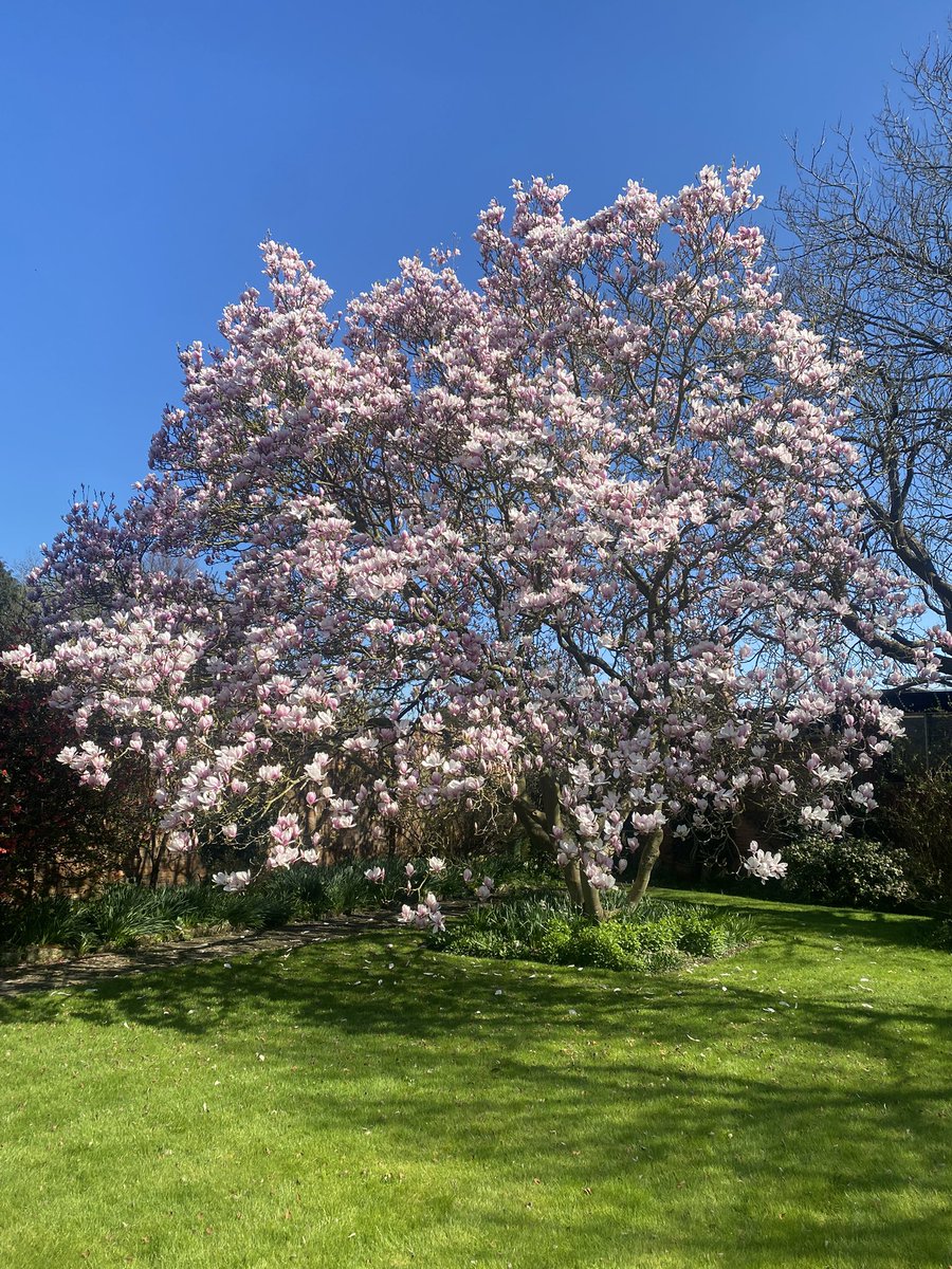 K.E.S. Headmaster tweet media