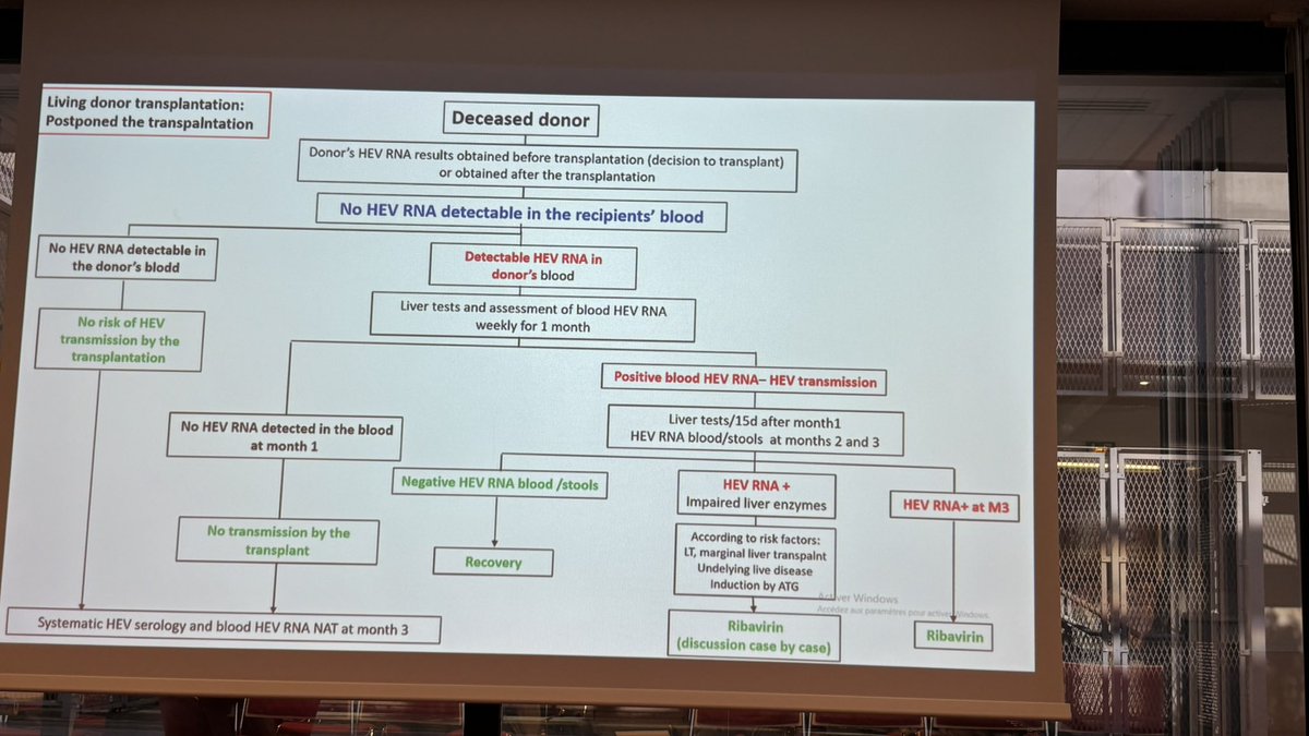 SFT Transplantation (@sftfrancophone) on Twitter photo Viral hepatitis transmitted by thé donor ( B,C,E) by <a href="/KamarNassim/">Kamar Nassim</a> at #SpringHits
<a href="/CHUdeToulouse/">CHU de Toulouse - compte inactif</a>
#hepatiteE
<a href="/AFEFoie/">AFEF</a>
<a href="/lachbt/">ACHBT</a>
<a href="/SPILF_/">SPILF</a> <a href="/com_SFNDT/">SFNDT</a> <a href="/ESOTtransplant/">ESOTtransplant</a>
<a href="/ag_biomedecine/">Agence de la biomédecine</a> Viral hepatitis transmitted by thé donor ( B,C,E) by <a href="/KamarNassim/">Kamar Nassim</a> at #SpringHits
<a href="/CHUdeToulouse/">CHU de Toulouse - compte inactif</a>
#hepatiteE
<a href="/AFEFoie/">AFEF</a>
<a href="/lachbt/">ACHBT</a>
<a href="/SPILF_/">SPILF</a> <a href="/com_SFNDT/">SFNDT</a> <a href="/ESOTtransplant/">ESOTtransplant</a>
<a href="/ag_biomedecine/">Agence de la biomédecine</a>