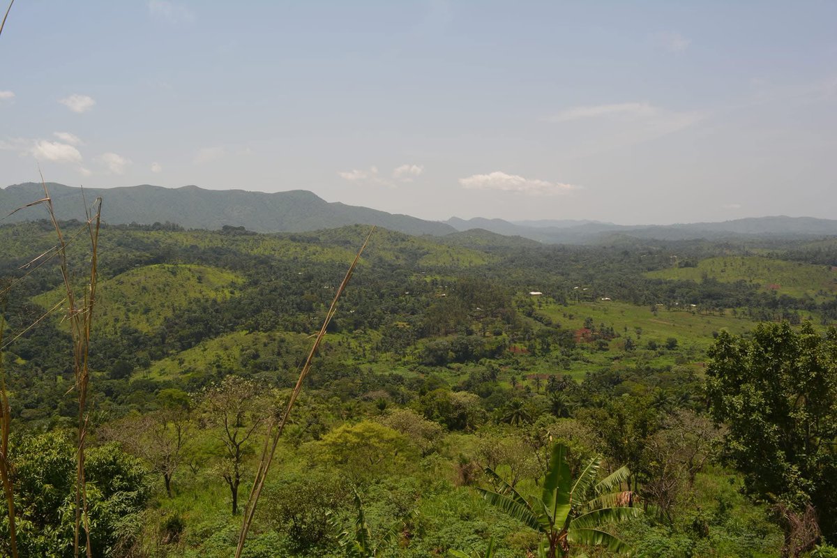 GraffiPikin's tweet photo. I greet you all. My name is Graffi Pikin on X
You all are welcome 🤗
Thank you very much🙏🏾
God Bless You All🤲🏾
*This is the format I will use to Introduce myself to you in different Grassfields Languages. Stay Tuned!
#GraffiPikin #Grassfields #Cameroon https://t.co/JSaYKltKkH