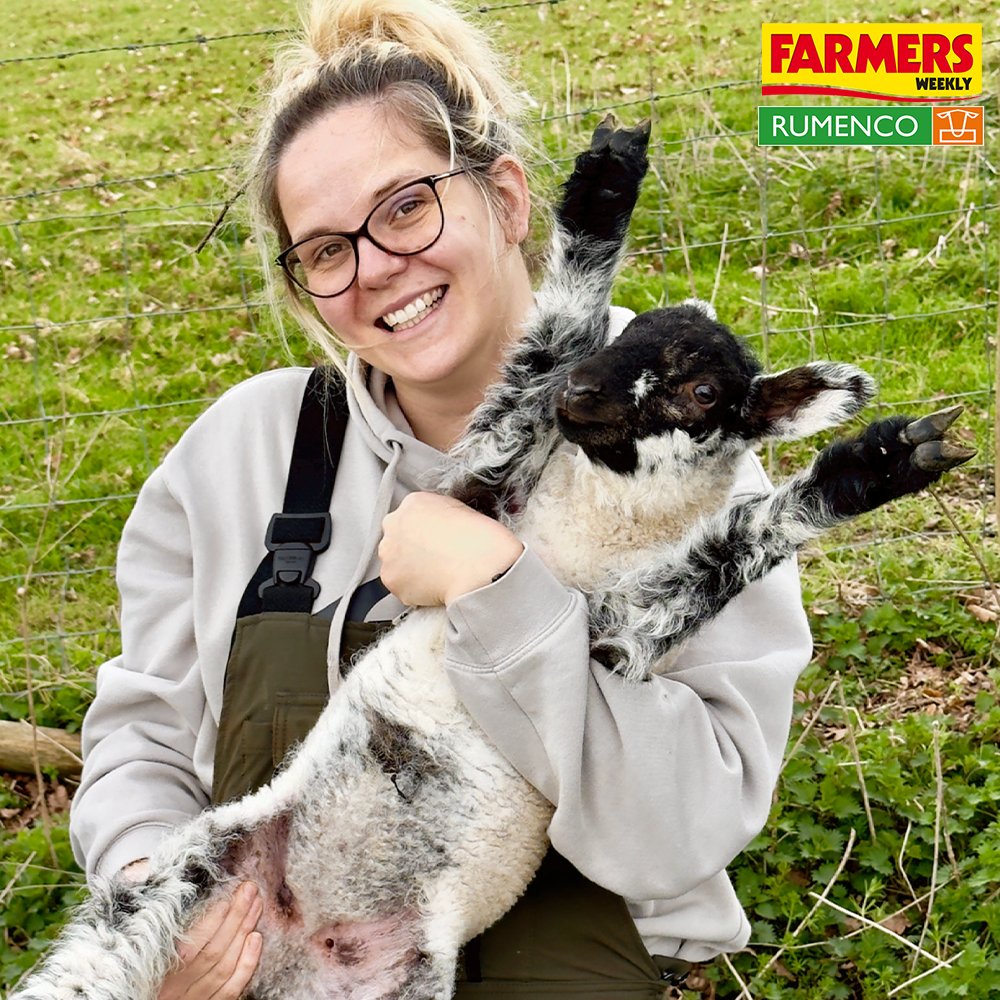 FarmersWeekly's tweet photo. 😍 THE ENTRIES KEEP ON COMING! ❤️  

📸 UPLOAD YOURS: https://t.co/4h4oySvLdz

@Rumenco_ltd | @FarmersWeekly https://t.co/jbVoHxwuXp