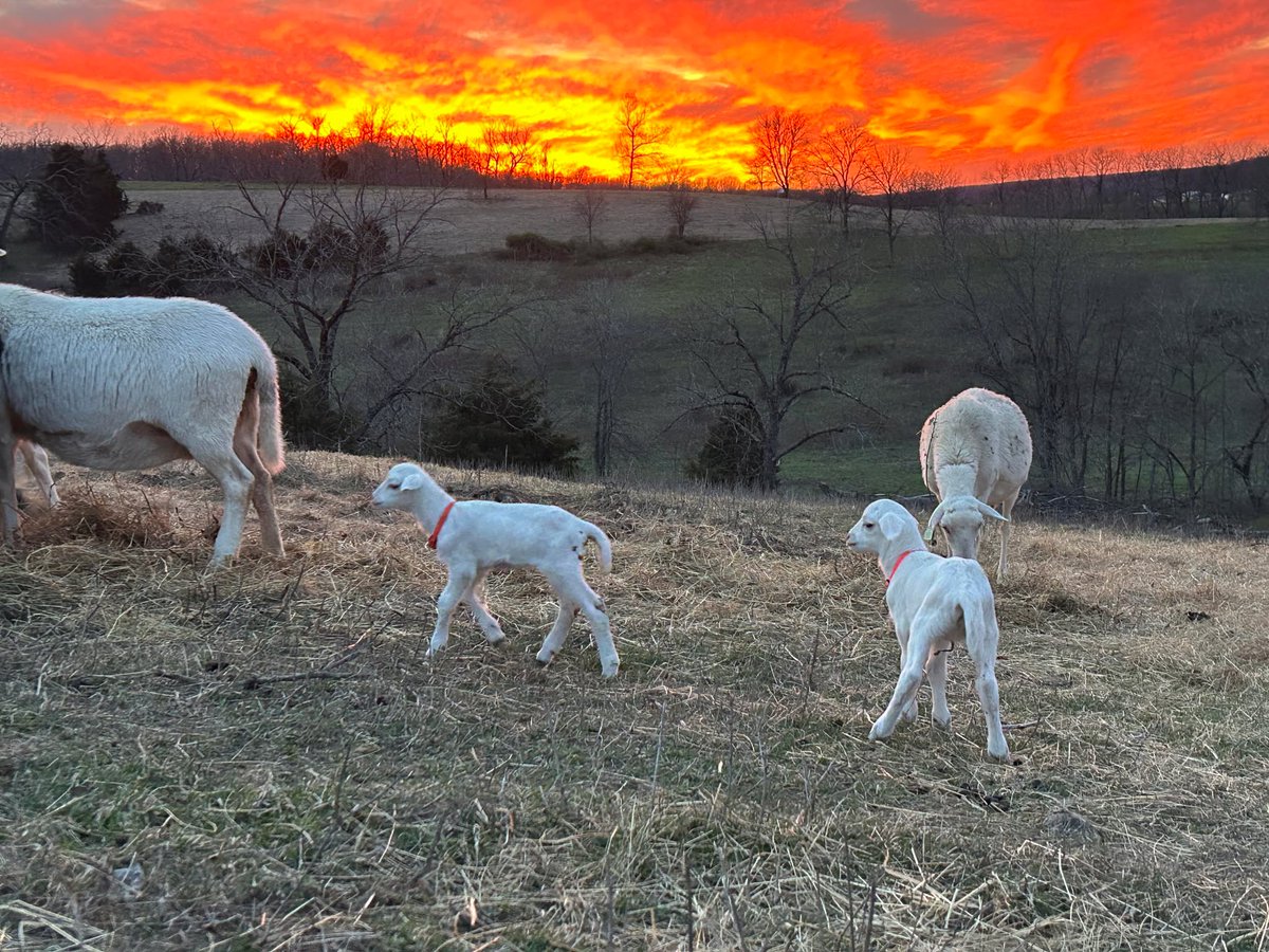 powerflex tweet media