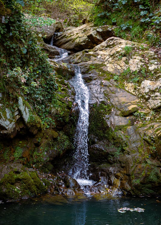 bojavafrica's tweet image. Escape the chaos, find your zen. Explore tranquil destinations that nourish your soul and restore balance. Your mental wellbeing deserves a vacation too! #SanityTravel #MindfulEscapes #nature #peacelovers #solotravel 🌿🏞️