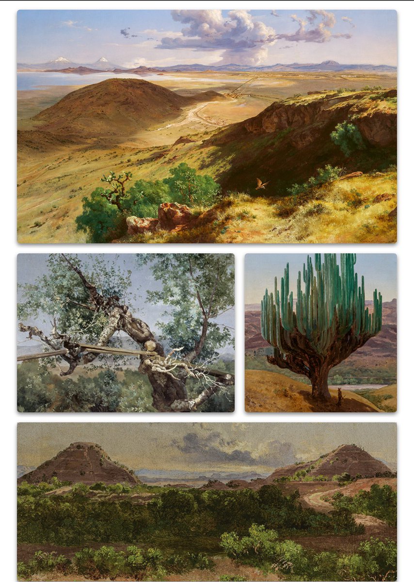 José María Velasco becomes the first Latin American painter to exhibit at the <a href="/NationalGallery/">National Gallery</a>. Showcasing one of #Mexico’s most renowned artists, who masterfully captured the essence of the national landscape in his paintings. March 29 to August 17.

nationalgallery.org.uk/exhibitions/ve…