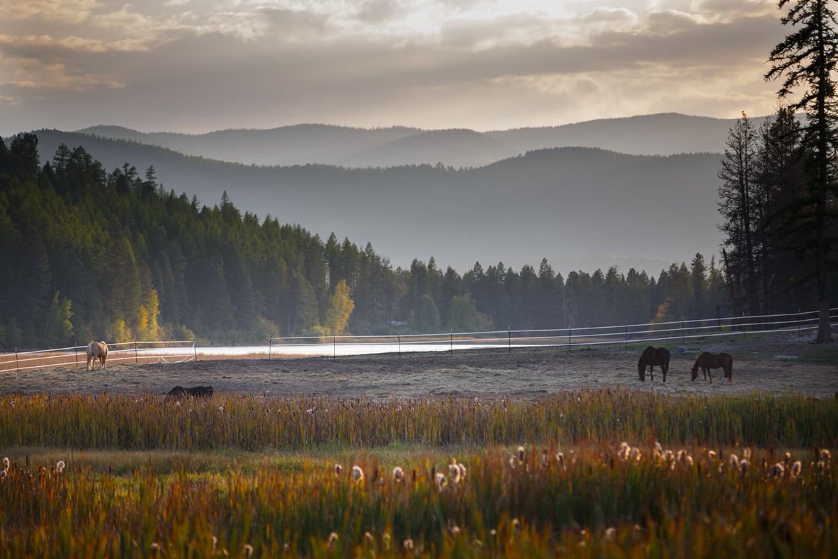 ⭐If you're on the fence about booking your vacation at Bar W for 2025, don't be! Dates are booking fast. You will have the time of your life!⭐
 
 thebarw.com/packages 
 
#BarWGuestRanch #MontanaGetaway #AdventureAwaits #RanchVacation #UnplugAndReconnect