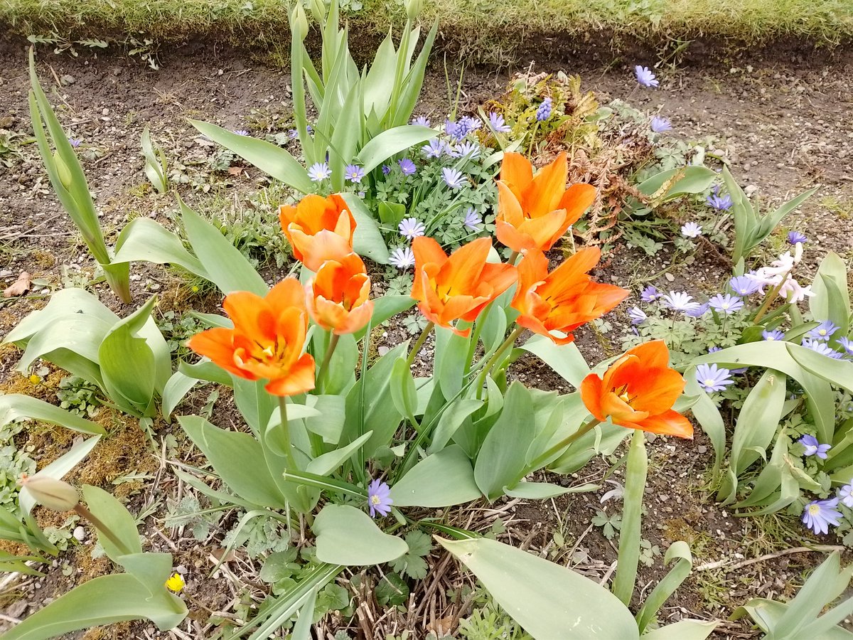 BettinaRezania's tweet photo. Day 812 -815 #900daysofwalking #100daysofwalking https://t.co/aoCzN2NMS3