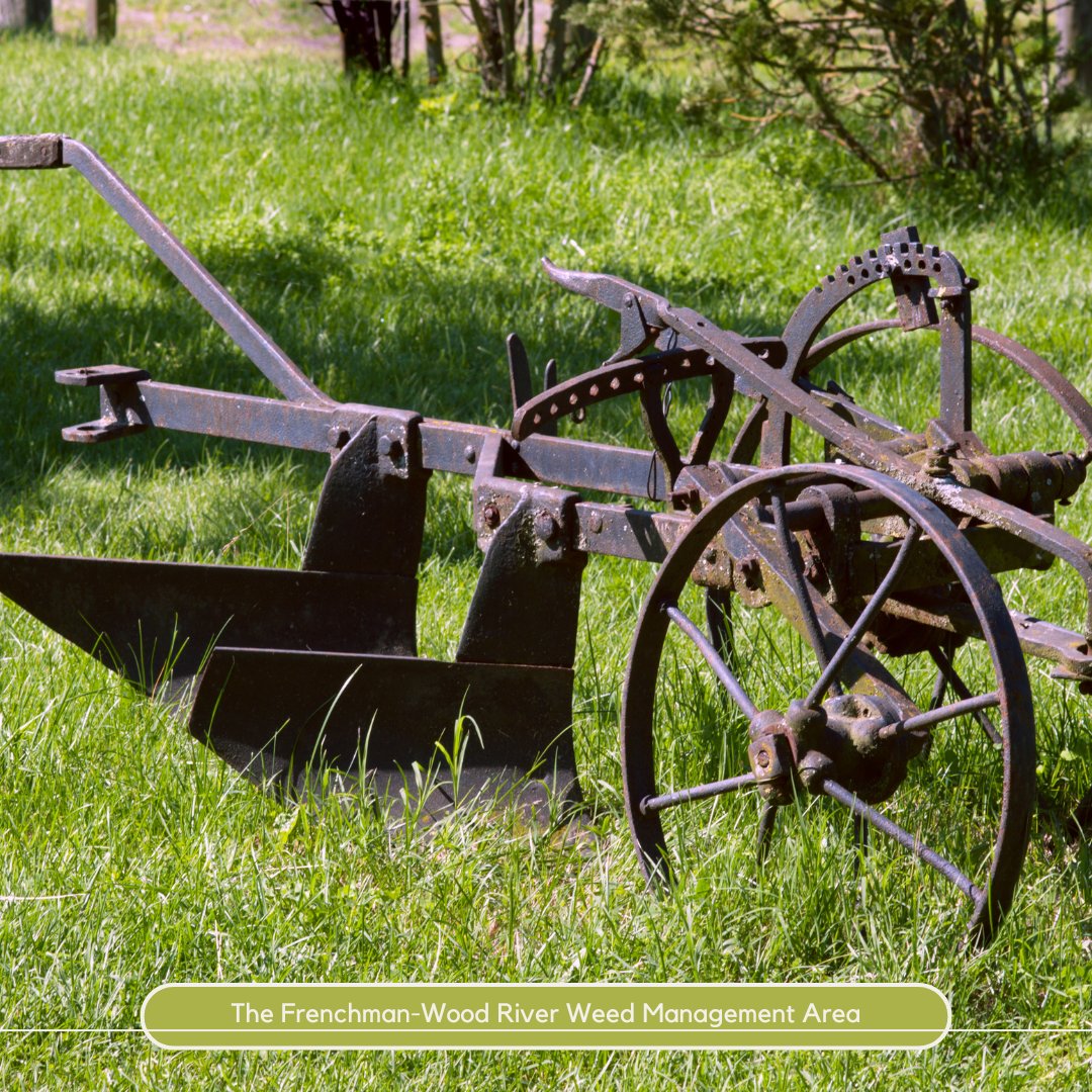 FWRWMA's tweet photo. Prairie weed control has evolved from hand-pulling and plowing to herbicides and now integrated management. Early methods often led to soil erosion, while herbicides raised resistance concerns. Today, cover crops, grazing &amp; reduced tillage balance productivity &amp; sustainability. https://t.co/5F8VvWWHYN