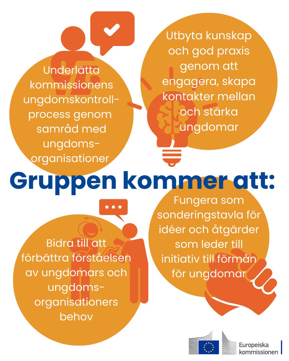 EU samlar intressegrupper för unga från hela unionen i en panel som återkommande kommer att diskutera tillsammans med nationella regeringsföreträdare och ungdomsforskare via en onlineplattform. 

Från Sverige kommer LSU – Sveriges barn- och ungdomsorganisationer – 
att delta. 🗣️