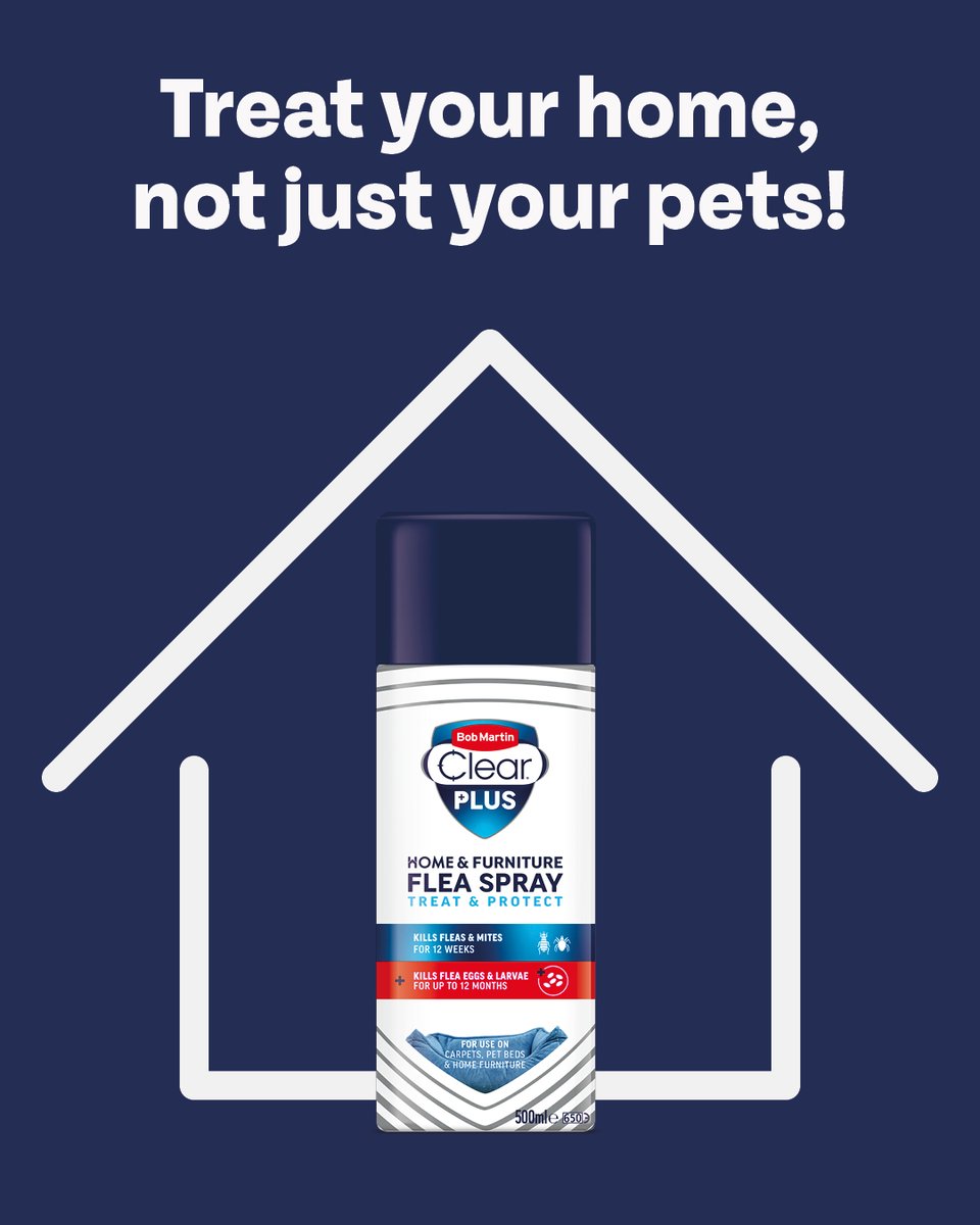 Fleas don’t just stay on your pets, they invade your home too! 🏠🐾 Use Bob Martin’s Home and Furniture range to stop fleas in their tracks and keep your space fresh and pest-free.