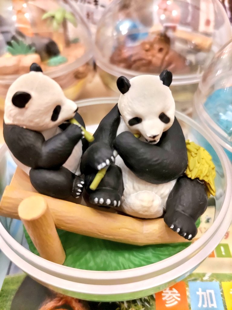 楓浜 6/28返還 奇跡の限定キーホルダー✨ アドベンチャーワールド