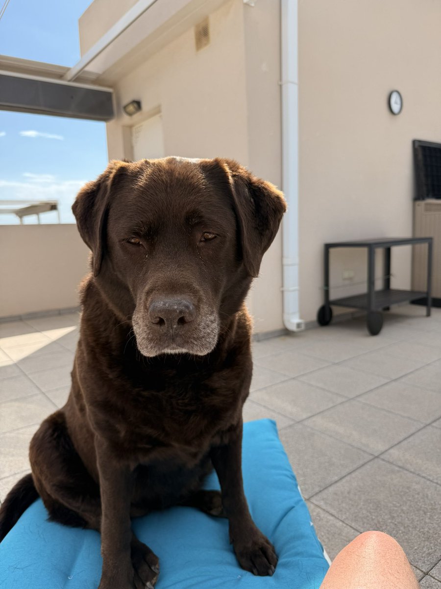 Rugbylad37's tweet image. I can’t have nothing 🙄🙄🤣