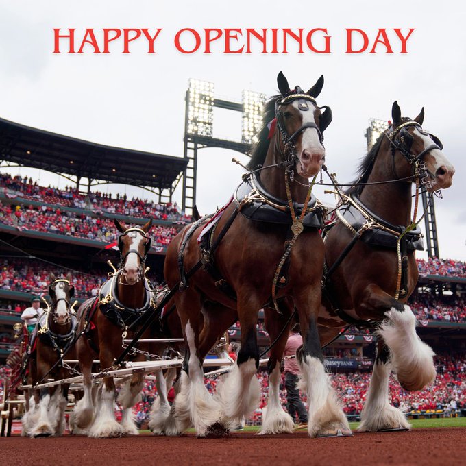 KuefnerRob's tweet photo. Opening Day! Here's to possiblities! And Cubs are two games back already! @Cardinals #whynotus https://t.co/MXR1JktwVD