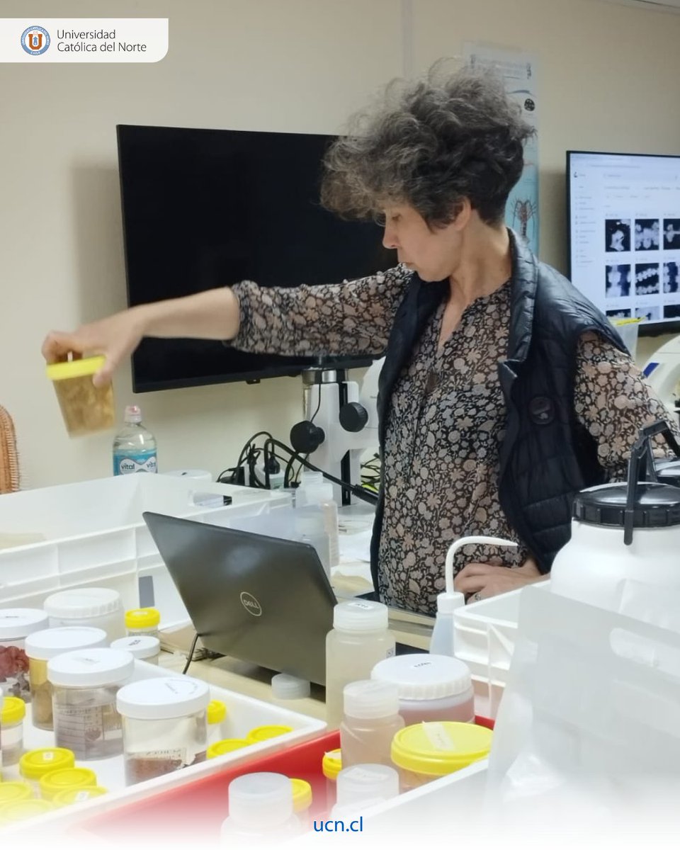 UCN Coquimbo (@ucn_coquimbo) on Twitter photo Taxonomic Workshop: segundo taller de identificación de especies de las muestras colectadas en los cruceros desarrollados el año pasado en las dorsales de Nazca, Juan Fernández, Salas y Gómez y Rapa Nui, en el crucero de investigación Falkor (too) del Schmidt Ocean Institute. Taxonomic Workshop: segundo taller de identificación de especies de las muestras colectadas en los cruceros desarrollados el año pasado en las dorsales de Nazca, Juan Fernández, Salas y Gómez y Rapa Nui, en el crucero de investigación Falkor (too) del Schmidt Ocean Institute.