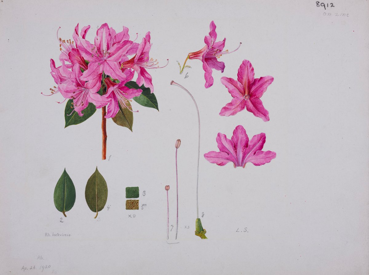 The National Archives Sector tweet media