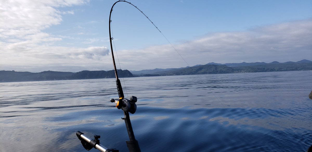 campcastdaily's tweet image. Trolling Tips Thursday @campcastdaily! Troll near scum lines in the water. These are created by currents—currents hold bait, big fish follow bait. Share your trolling pic! #TrollingTipsThursday