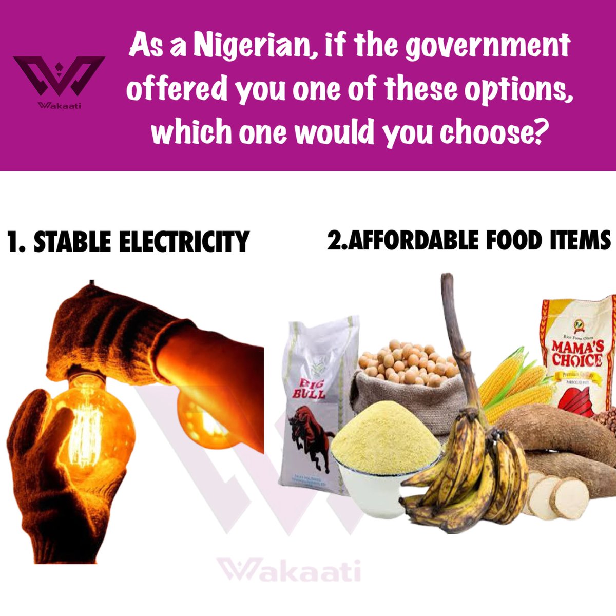 As a Nigerian, if the government offered you one of these options, which one would you choose? #peller #Tinubu #30DayRantChallenge