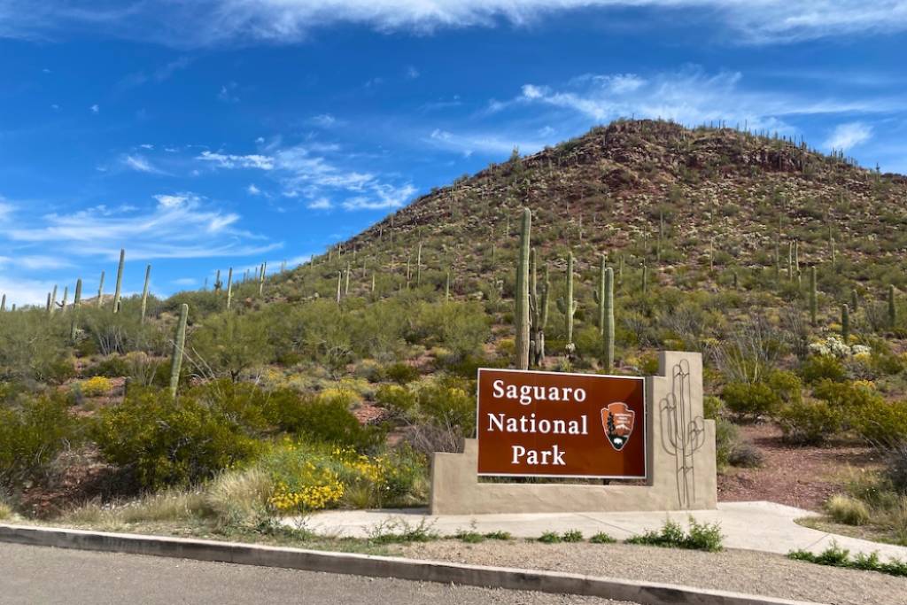 Enjoy the incredible wildlife and features of the Saguaro National Park, spotlit on today's Blog post from #ESC, your one-stop #kids #campinggear shop. everythingsummercamp.com/blogs/news/exp…