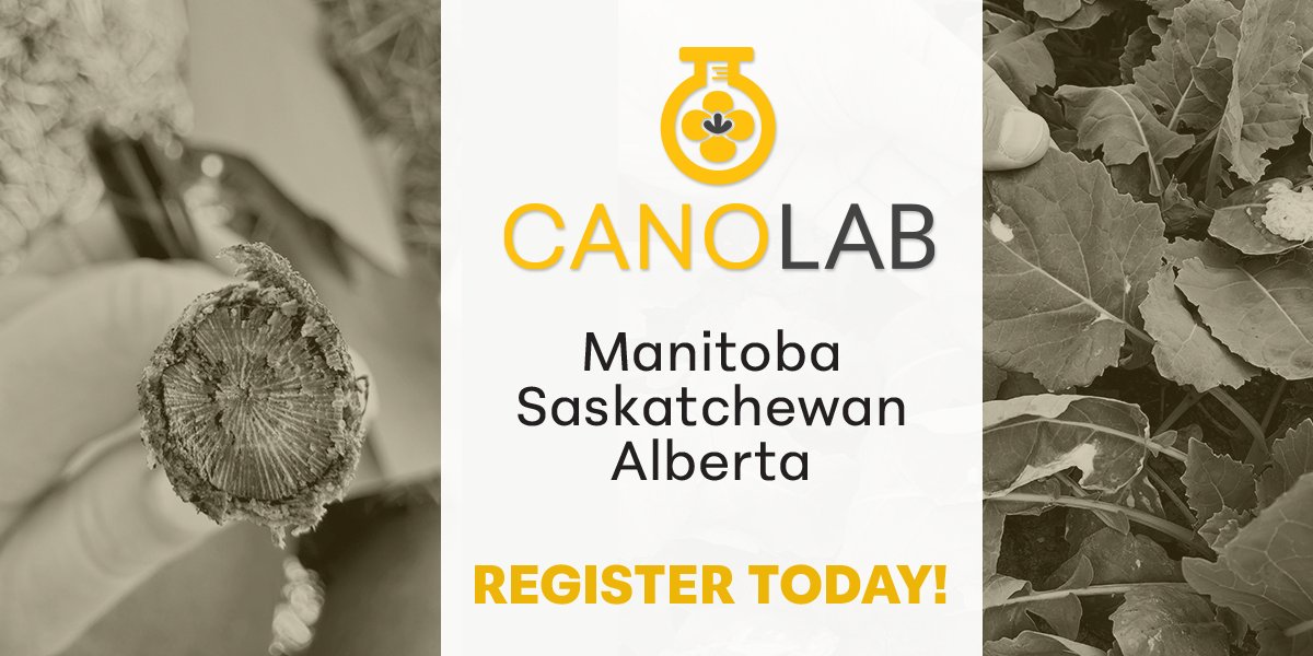 Canola Council of Canada (@canolacouncil) on Twitter photo The next two CanoLABs for agronomists are in Manitoba (@assiniboine_MB) and Saskatchewan (<a href="/usask/">U of Saskatchewan</a>) and feature researchers, grad students and CCC agronomists.
Manitoba – April 3
Saskatchewan – April 9
Register (MB): canolacouncil.org/event/manitoba…
Register (SK): canolacouncil.org/event/saskatch… The next two CanoLABs for agronomists are in Manitoba (@assiniboine_MB) and Saskatchewan (<a href="/usask/">U of Saskatchewan</a>) and feature researchers, grad students and CCC agronomists.
Manitoba – April 3
Saskatchewan – April 9
Register (MB): canolacouncil.org/event/manitoba…
Register (SK): canolacouncil.org/event/saskatch…