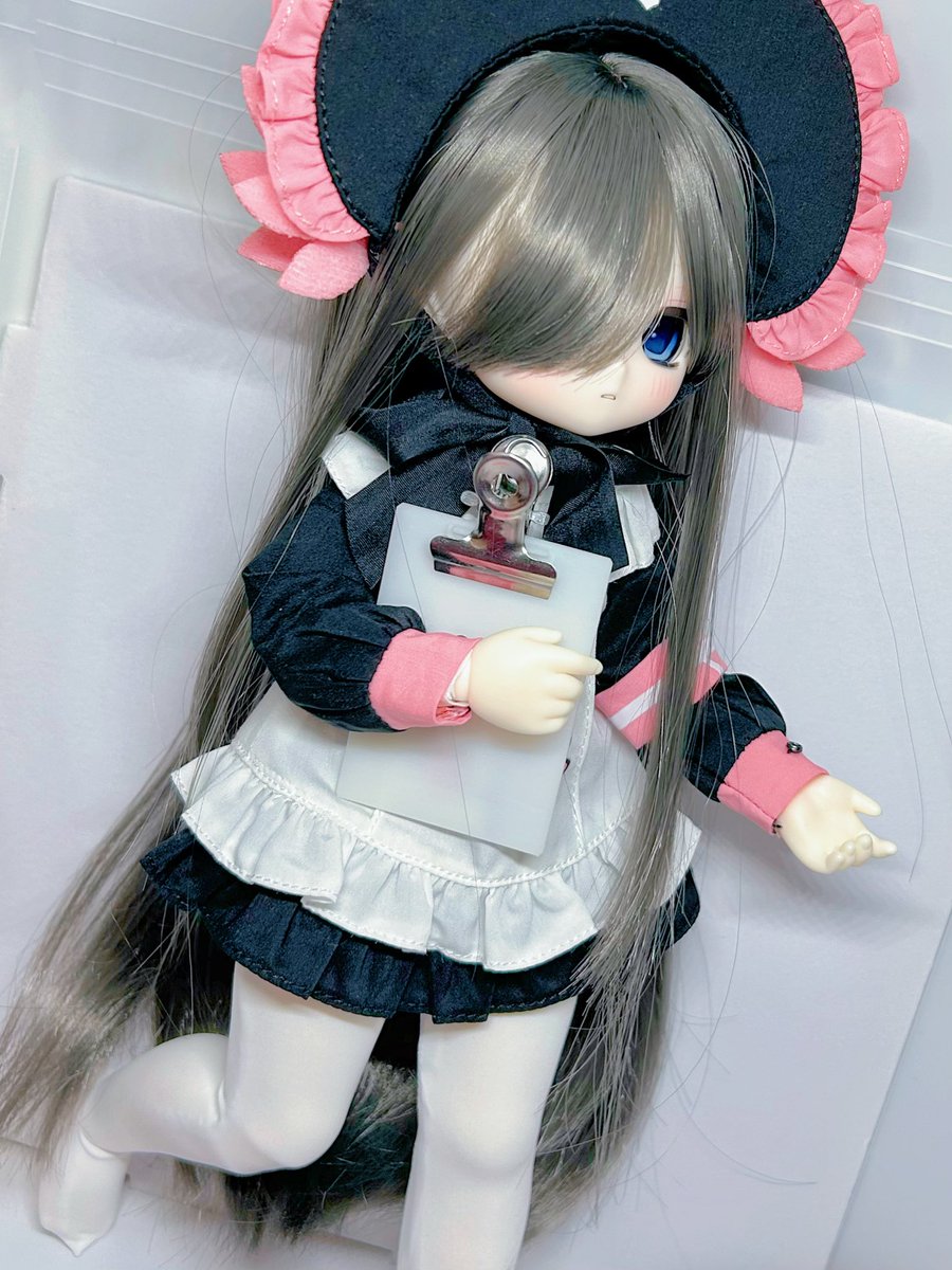 念願叶ってTinyFoxのルーシーちゃんお迎えしました〜〜！！！カカプラ