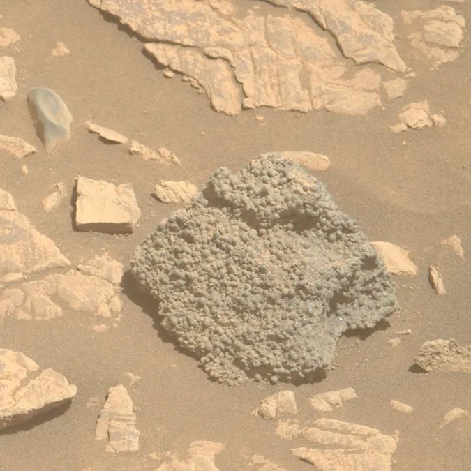 AsgardiaSpace's tweet image. 🔍 NASA’s Perseverance rover found a bizarre Mars rock covered in dark gray spheres! Nicknamed "St. Pauls Bay," it could’ve formed from groundwater or volcanic activity. Another clue in the search for Mars’ ancient secrets!  

#Mars #NASA #PerseveranceRover #StPaulsBay
