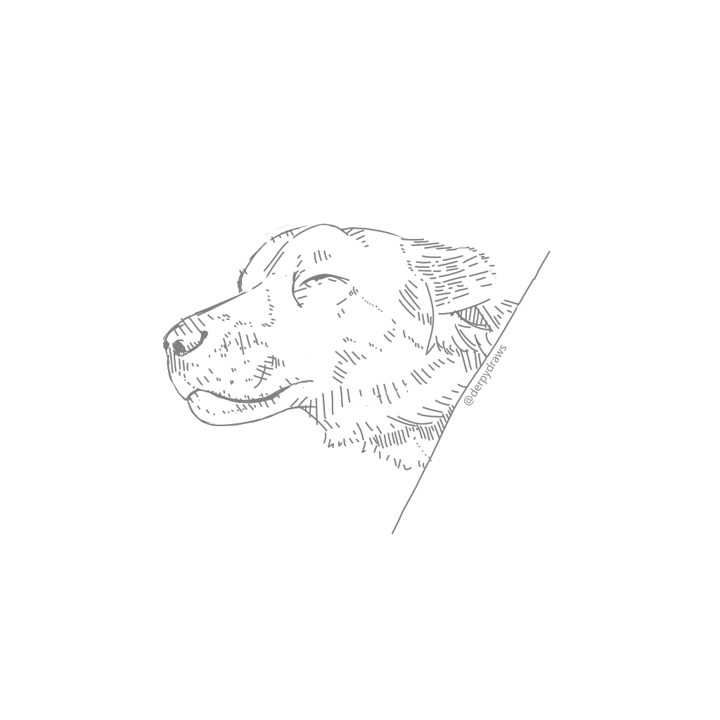 Day 1 of drawing random animals
#art