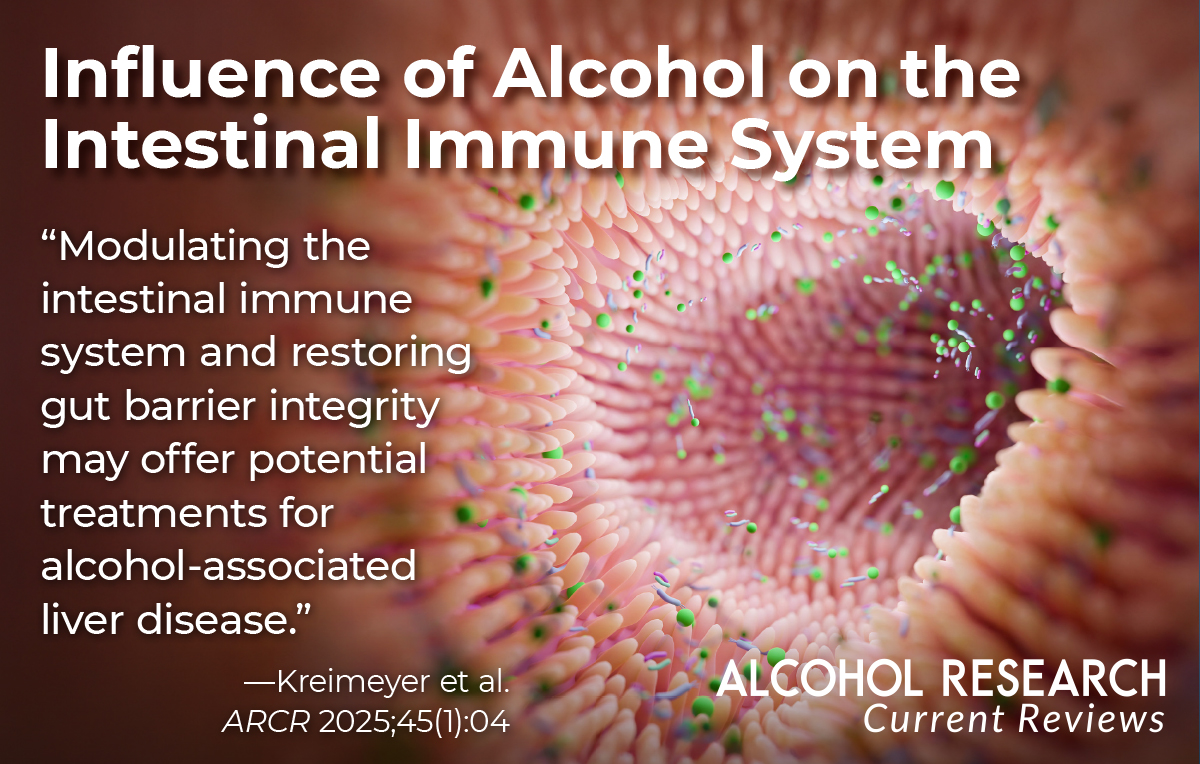 NIAAA News (@niaaanews) on Twitter photo The intestine plays a crucial role in immunity. This ARCR review shows how chronic alcohol consumption impacts intestinal health, contributing to liver disease and other organ damage. Learn more: go.nih.gov/nLlqyKV.
#alcoholresearch #arcrjournal The intestine plays a crucial role in immunity. This ARCR review shows how chronic alcohol consumption impacts intestinal health, contributing to liver disease and other organ damage. Learn more: go.nih.gov/nLlqyKV.
#alcoholresearch #arcrjournal