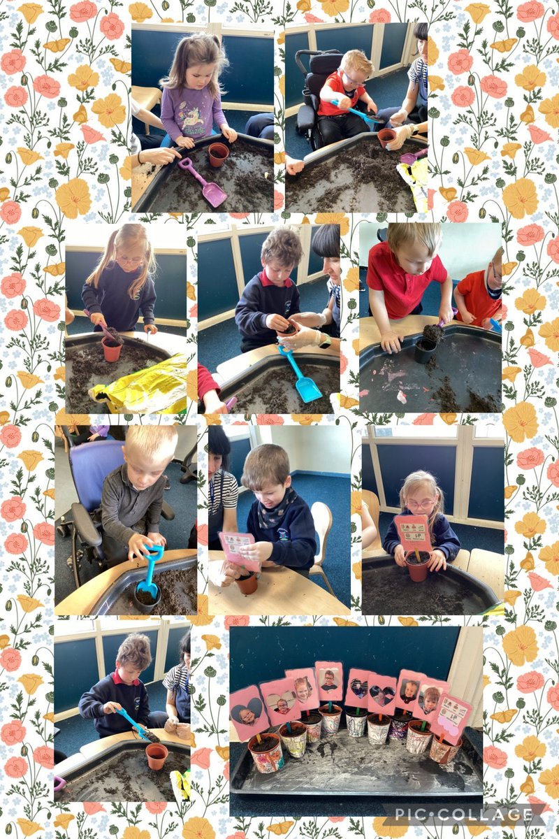 Dolphin class have loved learning that gardening is fun! Planting seeds for someone special for Mother’s Day 🌸🪴 Da iawn Dolphin Class! 👏🏼