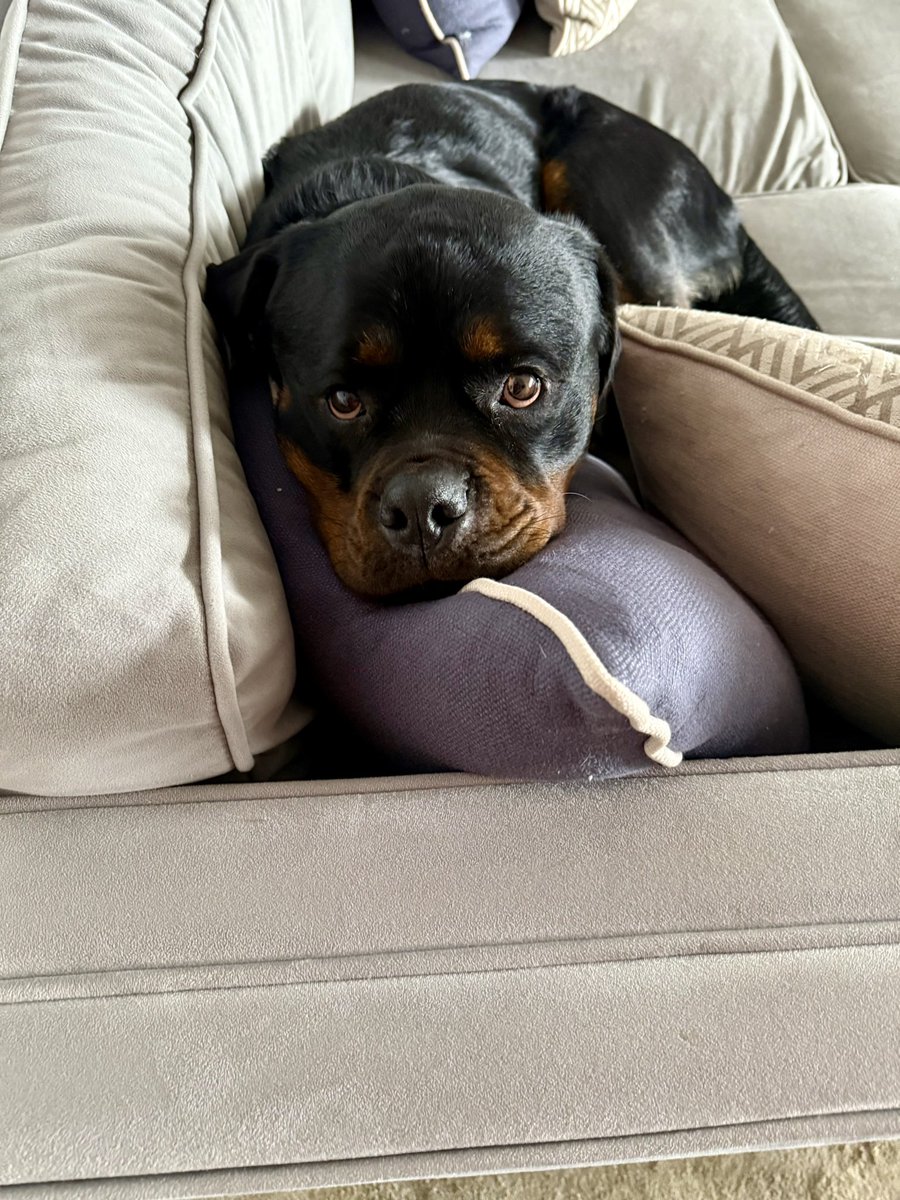 Butter wouldn’t melt