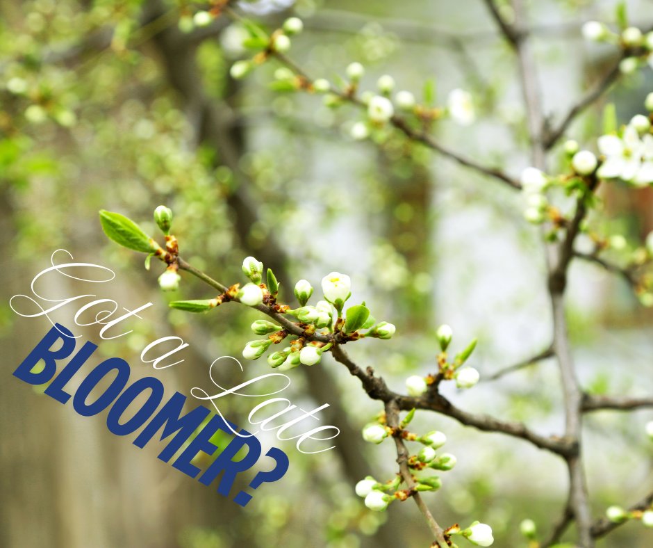 RTECtreecare's tweet image. Why Your Trees May Be Leafing Out Late – Factors affecting tree bud development.

Some trees are slow to wake up! Late frosts, soil conditions, or species traits might be the reason. Concerned? We can help diagnose the issue!  
#TreeGrowth #SpringTreeCare #NoVa