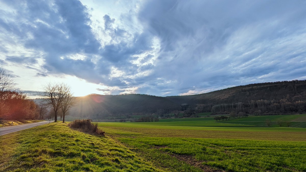 Windpark Reinhardswald dagegen! tweet media