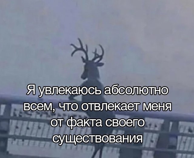 Ritsu_Despair's tweet photo. Именно так. https://t.co/uWbKJ2eE00