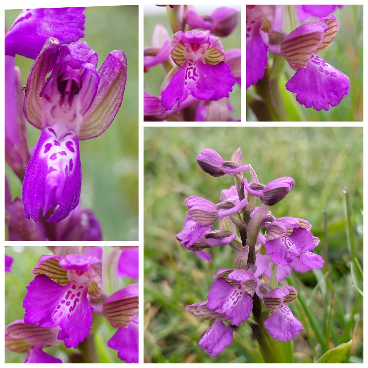 Andy Rogers tweet media