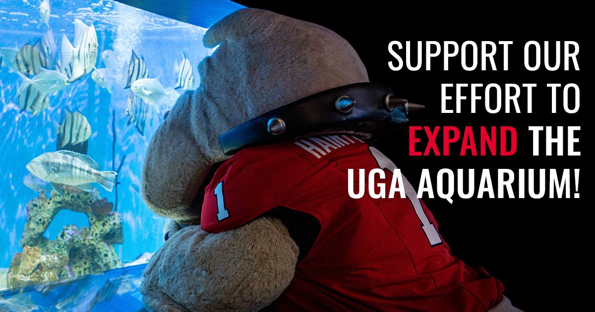 Today’s the day! It’s Dawg Day of Giving and we’re raising funds to add 2,100 square feet of new exhibit space to the UGA Aquarium! 

Be part of this transformation. If each of us gives a little, we can make a BIG impact! Make your gift now at tinyurl.com/bdf99zpn