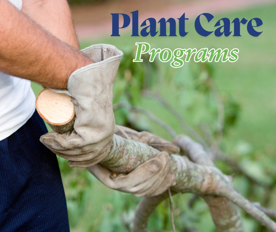 RTECtreecare's tweet photo. Looking for a Plant Care Program? - RTEC Treecare offers year-round protection with our plant health care programs, completely customized for your property's needs. 

Schedule a consultation on our site to get your customized plan!

#Yard #Outdoors #Sustainable #RTECtreecare https://t.co/XRE3jGA3UK