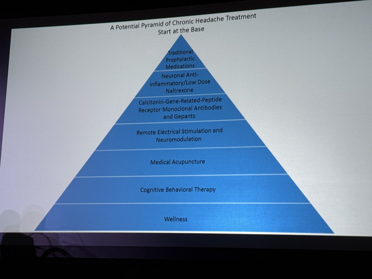 Amber Borucki, MD (@amberboruckimd) on Twitter photo Dr. Alyssa Lebel speaking on Updates in Pediatric and Adolescent Headache <a href="/PedsPainMed/">Society for Pediatric Pain Medicine</a> #SPPM2025 Dr. Alyssa Lebel speaking on Updates in Pediatric and Adolescent Headache <a href="/PedsPainMed/">Society for Pediatric Pain Medicine</a> #SPPM2025