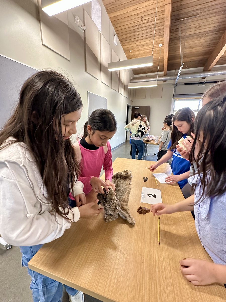 @ErbSTEAM tweet media