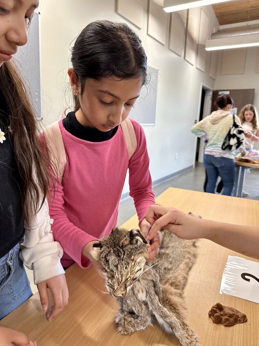 @ErbSTEAM\\\Amy_Erb (@erbsteam) on Twitter photo On Monday, <a href="/ErbSteam/">@ErbSTEAM\\\Amy_Erb</a> & <a href="/KimberlyCastner/">Kimberly Castner</a> took their Ecology Club to Stevens Creek Nature Center to explore and learn in nature. Thanks for hosting us <a href="/MeckCounty/">Mecklenburg County</a>, we had a great time! #ecology #nature On Monday, <a href="/ErbSteam/">@ErbSTEAM\\\Amy_Erb</a> & <a href="/KimberlyCastner/">Kimberly Castner</a> took their Ecology Club to Stevens Creek Nature Center to explore and learn in nature. Thanks for hosting us <a href="/MeckCounty/">Mecklenburg County</a>, we had a great time! #ecology #nature
