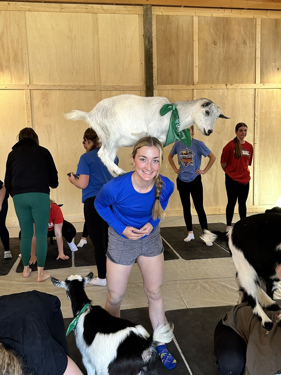 Morton Softball tweet media