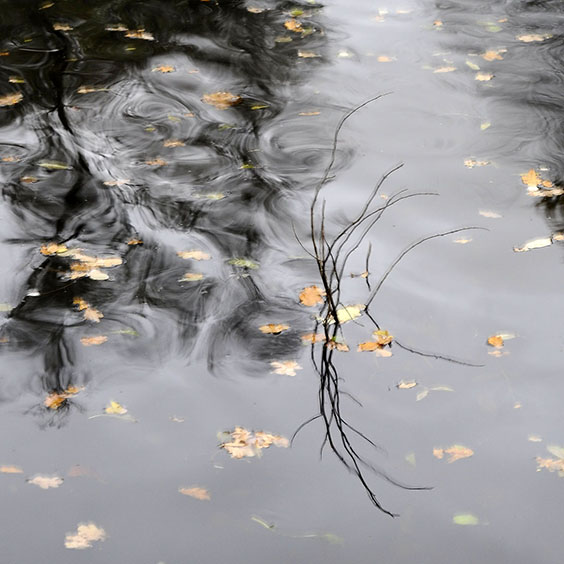 Feel grateful for the silence of winter.... ❤ Read more on website qinyueart.com

#qinyueart #qinyue艺术 #contemporaryartist #art #artistlife