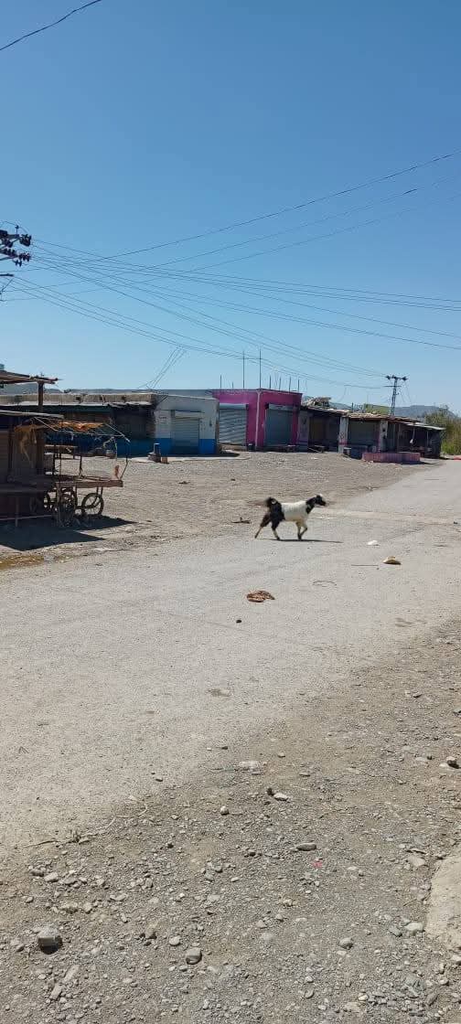 Situation of tehsil Serwaki market Upper Waziristan due to illegal curfew from authorities. Since 2002 such colonial dramas going on with the people of #Waziristan. Remember: South Waziristan is one of highly militarized region having hundreds of military checkpoints.