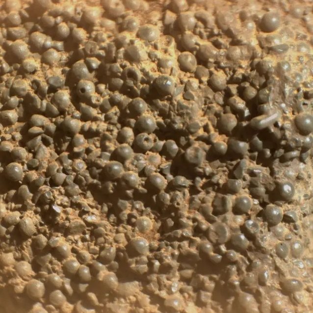 Latest in space tweet media