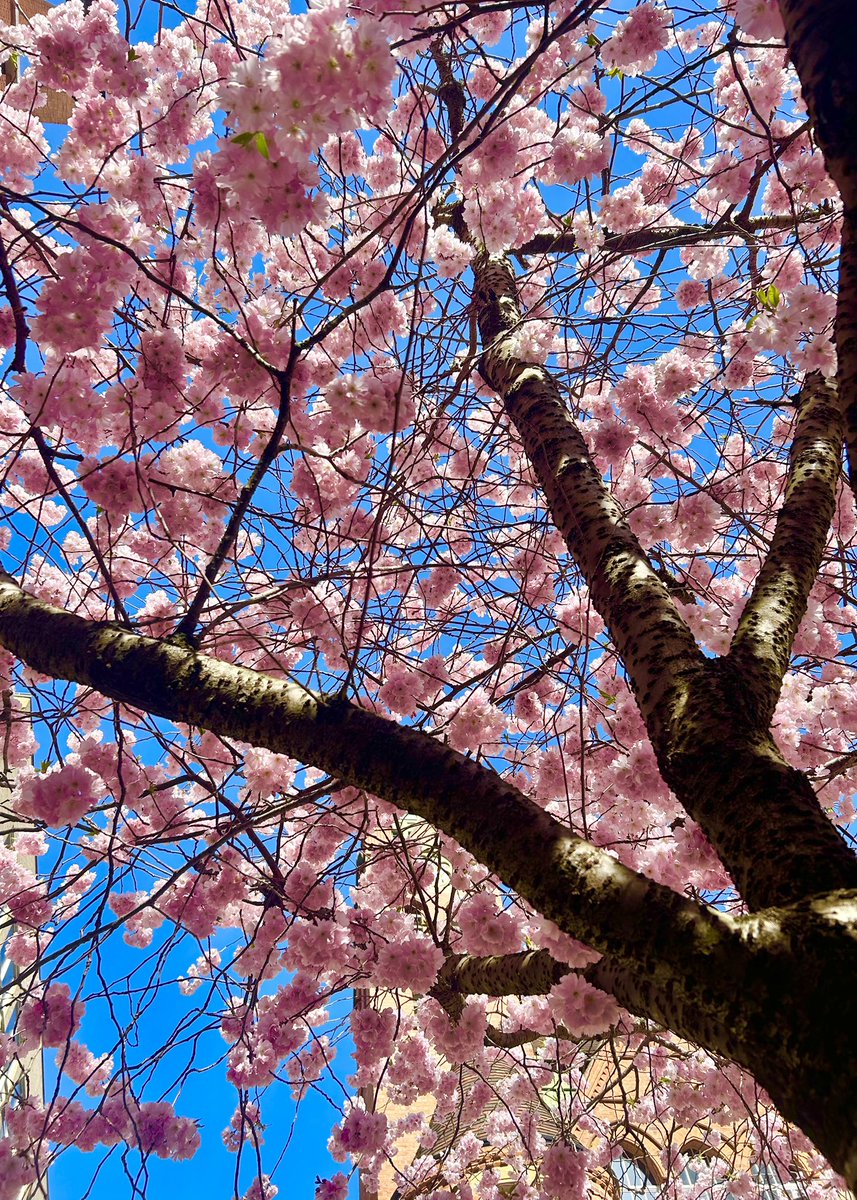 Bite Your Brum (she/her) tweet media